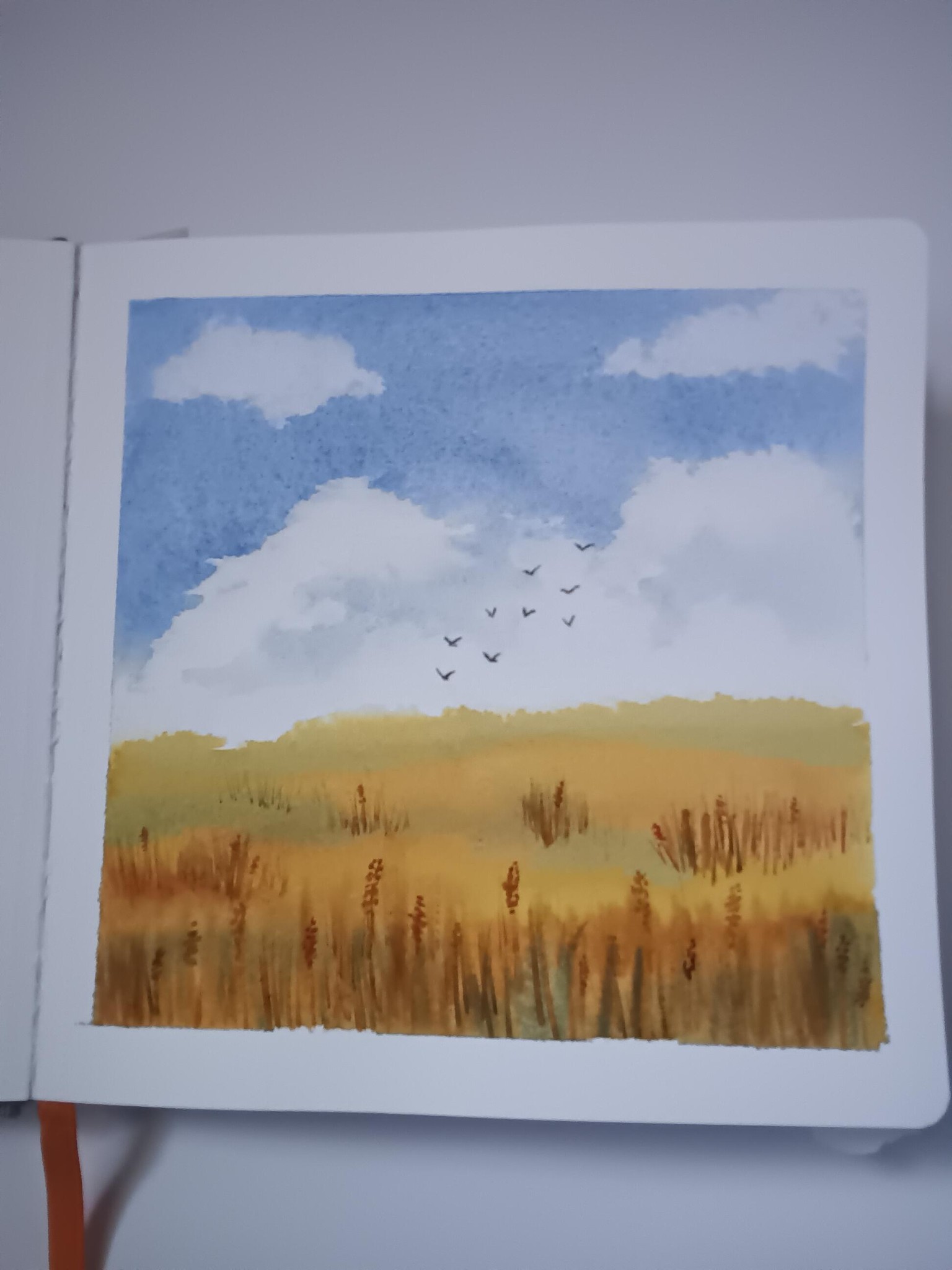 Wheat fields - image 1 - student project