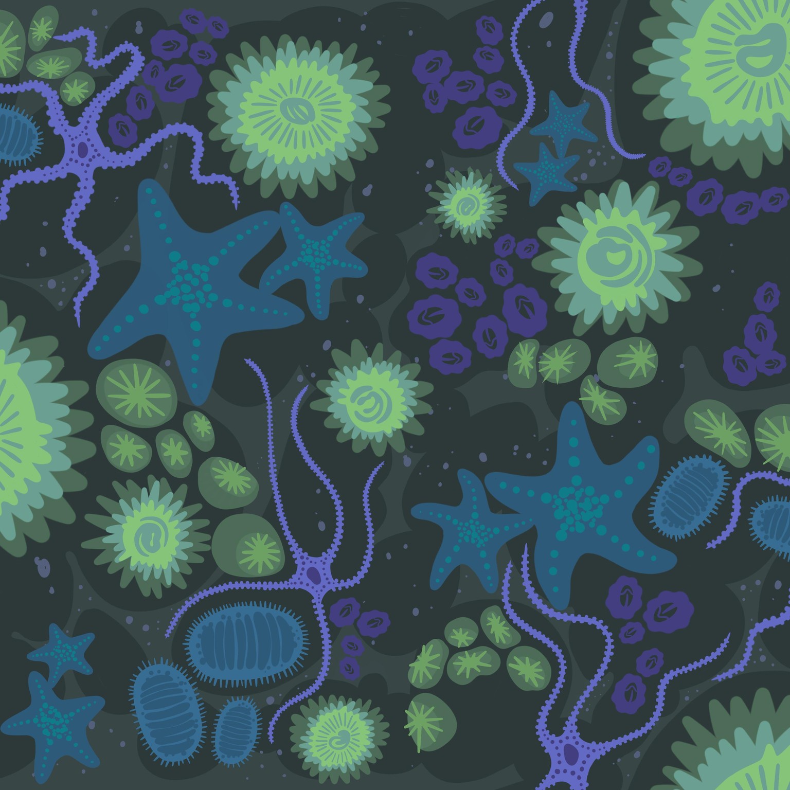 Half Drop Tide Pool - image 1 - student project