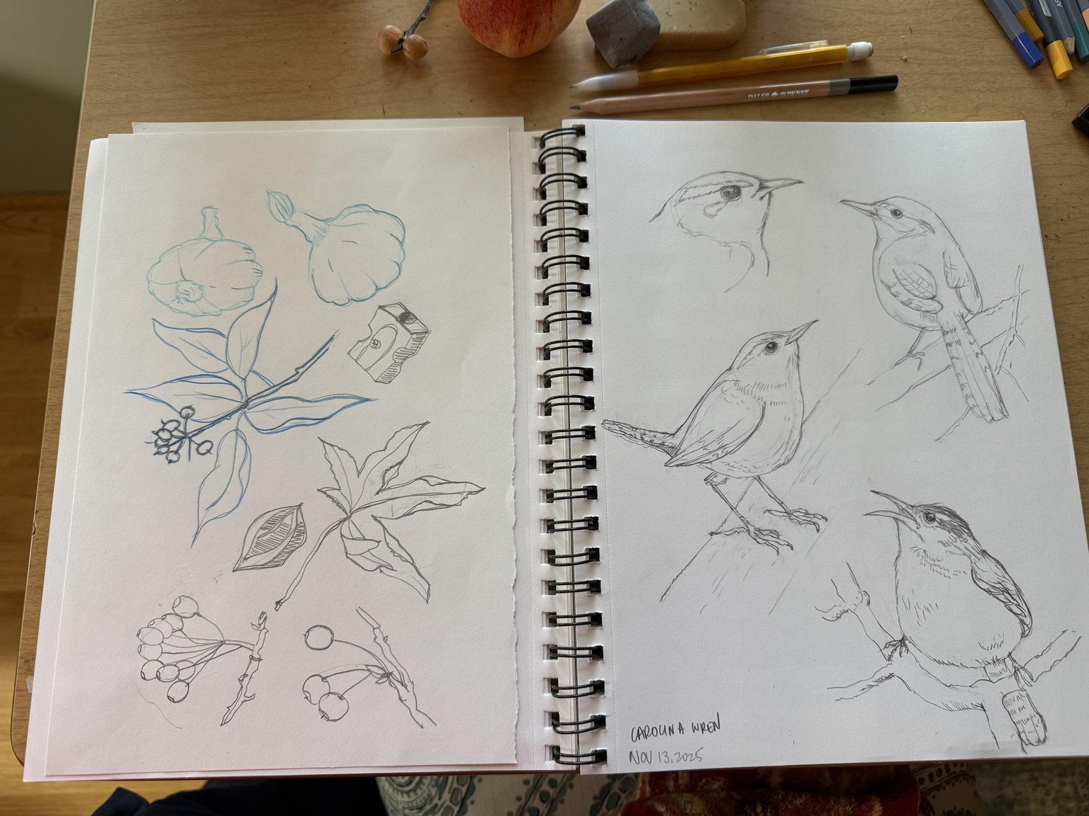 Sketching Projects - image 2 - student project