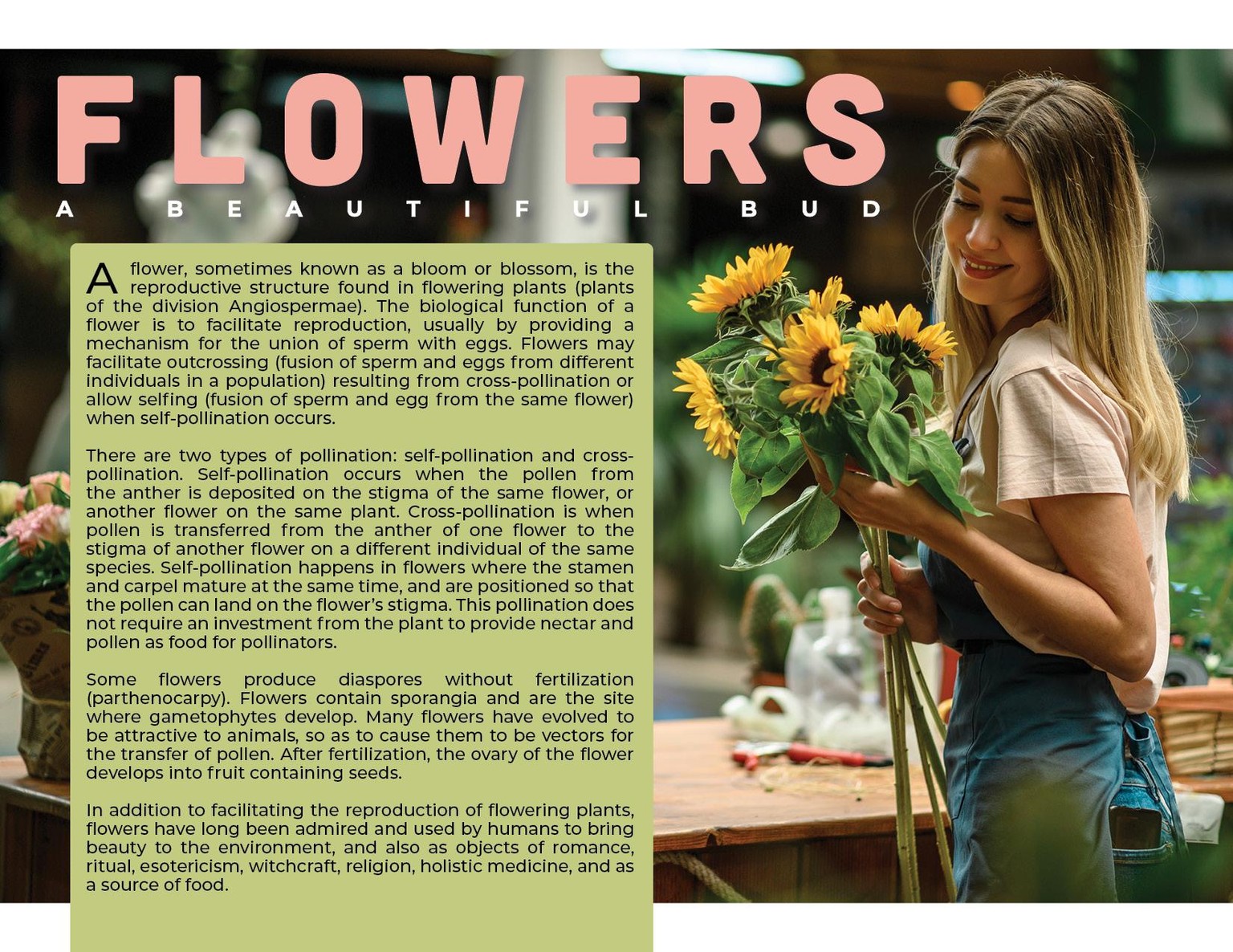 Flowers Spread Variations - image 5 - student project