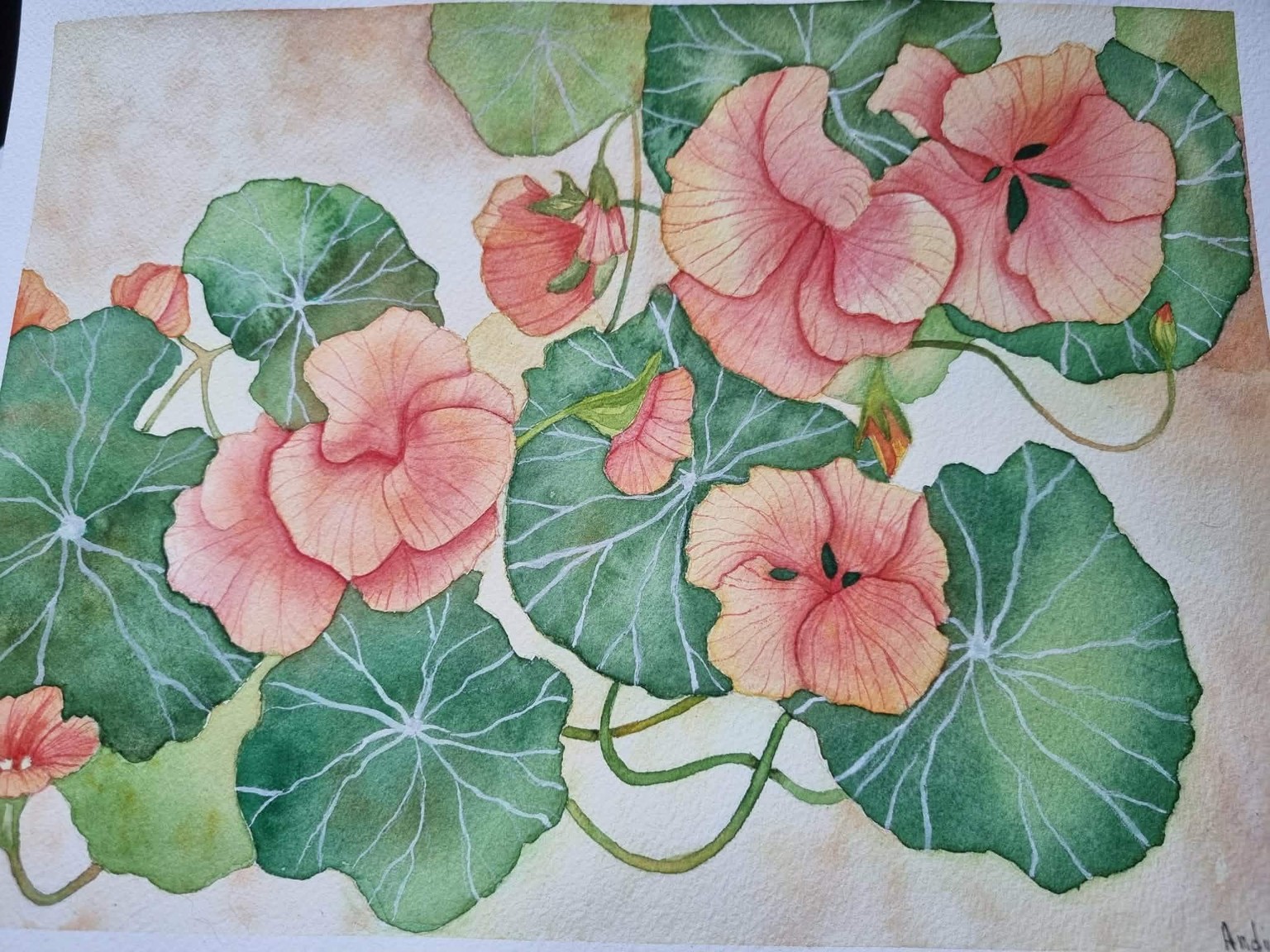 Capuccinas en acuarela - image 2 - student project