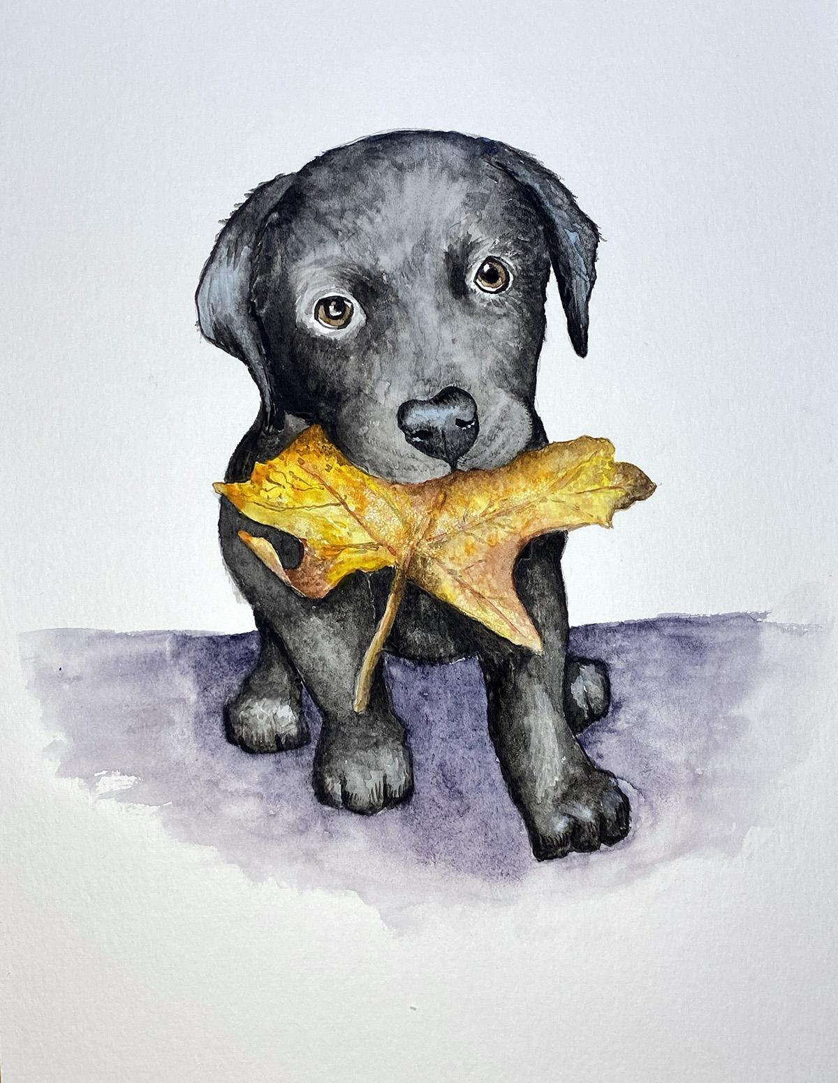 Puppy with Leaf. - image 1 - student project