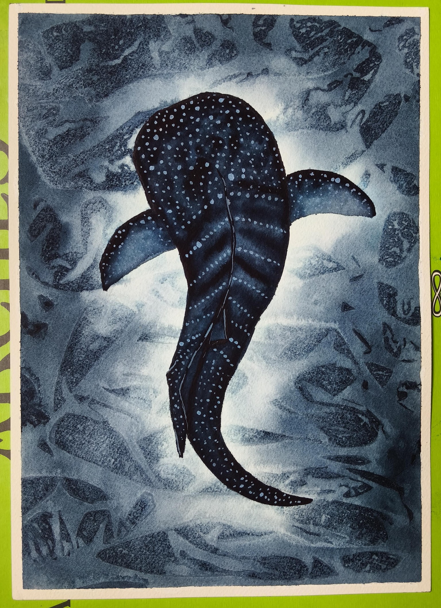 Let's Dive into Ocean 🌊 - image 2 - student project
