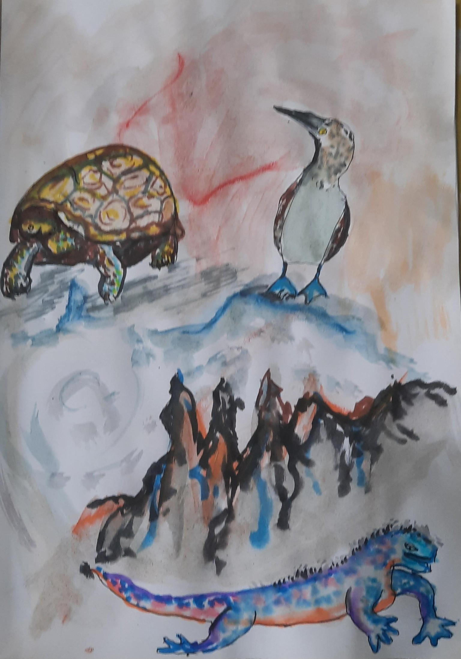 Blue-footed Booby - image 4 - student project