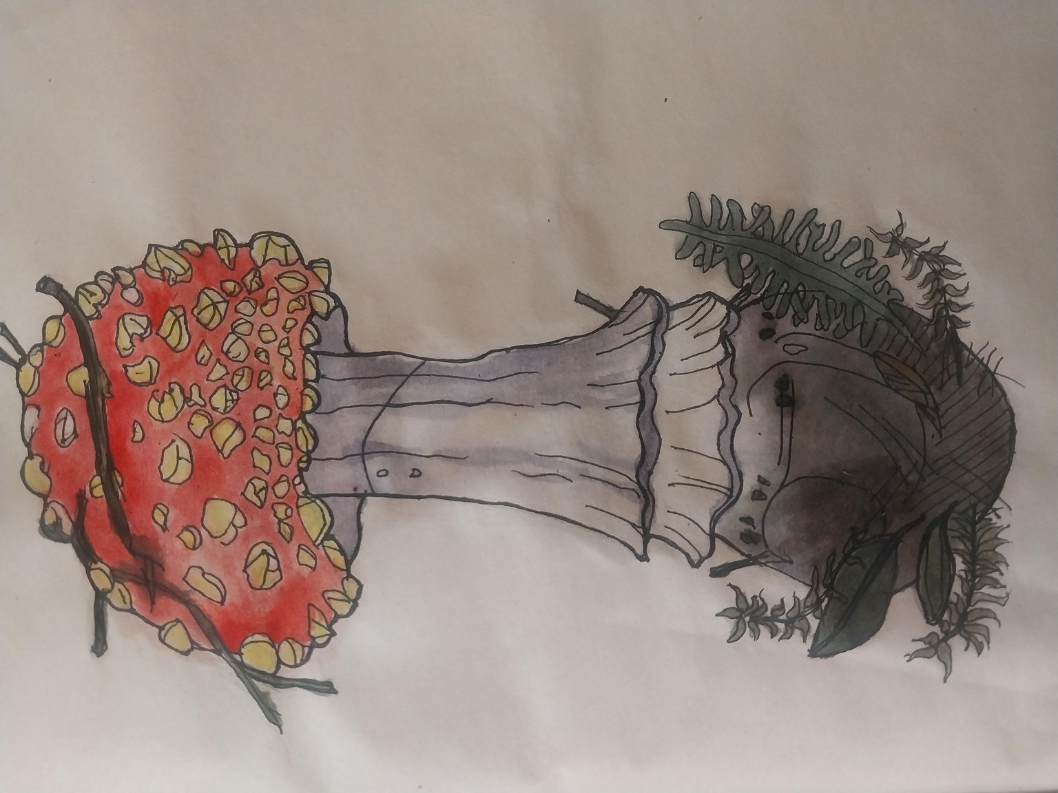 Mushroom Illustration - image 3 - student project