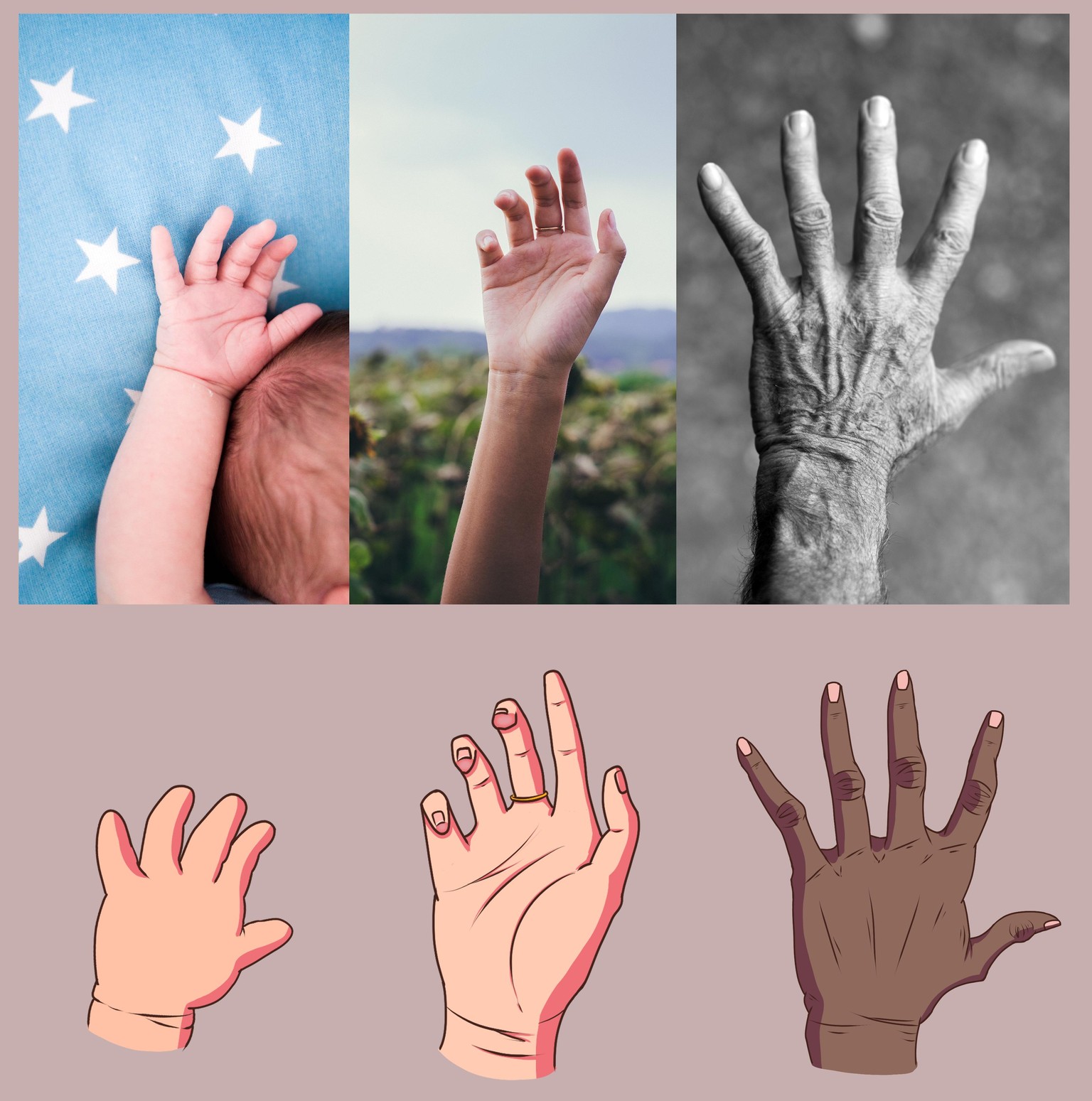 Hands Project and Study - image 1 - student project