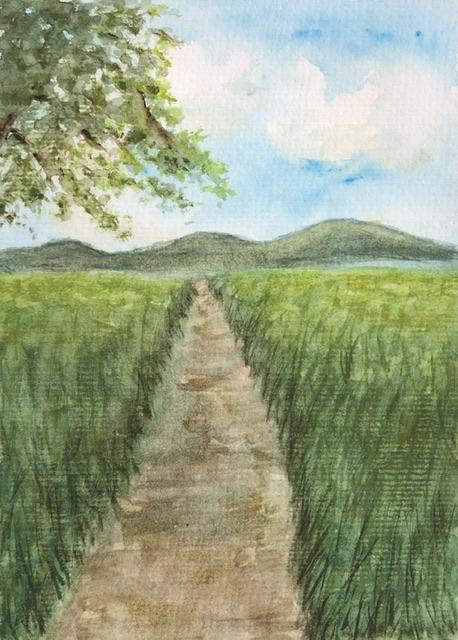 Mini Landscapes - image 5 - student project