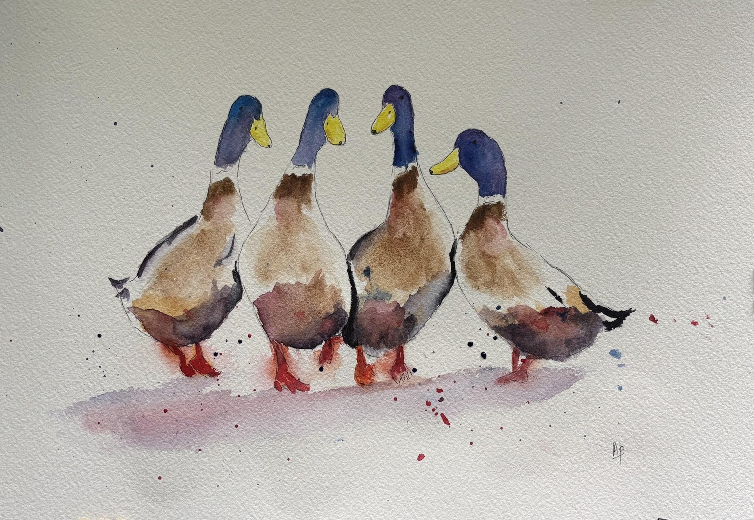 Duck walk -loosening up with watercolour and ink - image 1 - student project