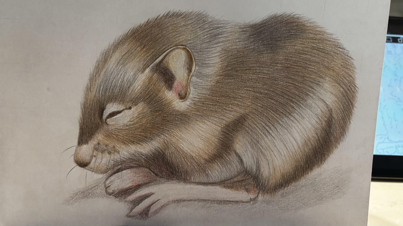 Mouse Drawing - second attempt - image 2 - student project