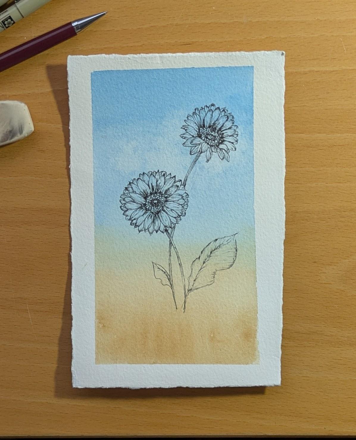 Gerbera - image 1 - student project