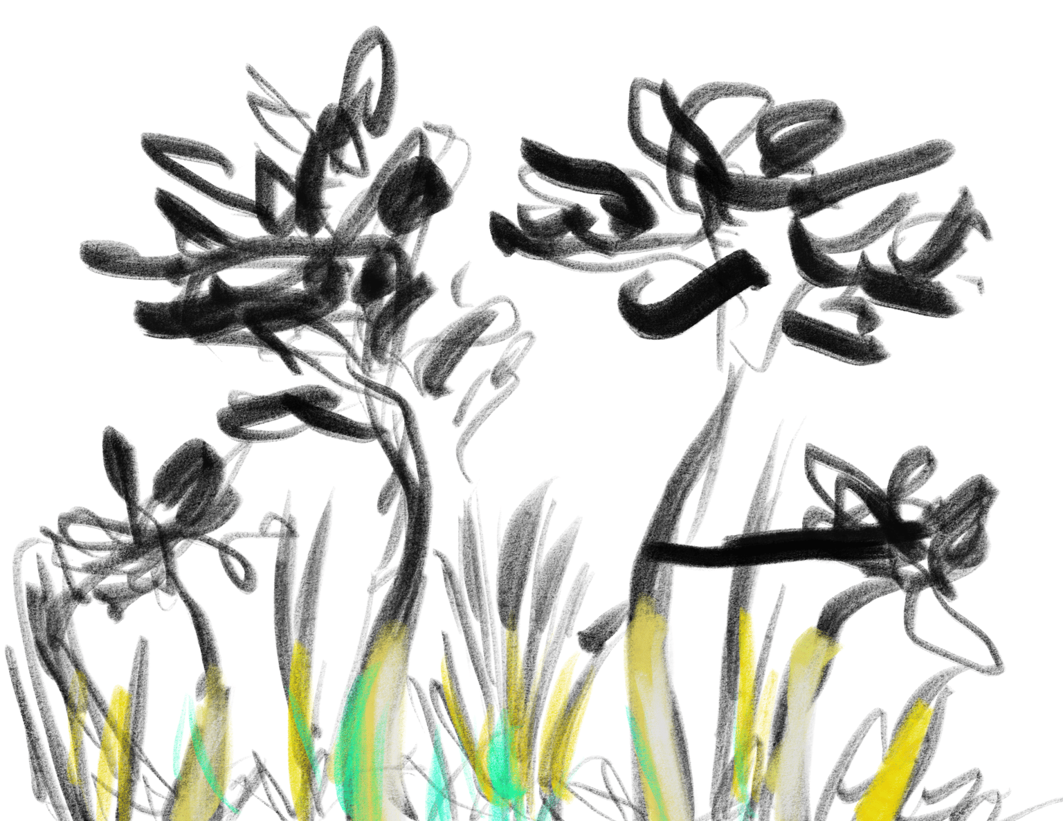 Composition Practice - image 1 - student project