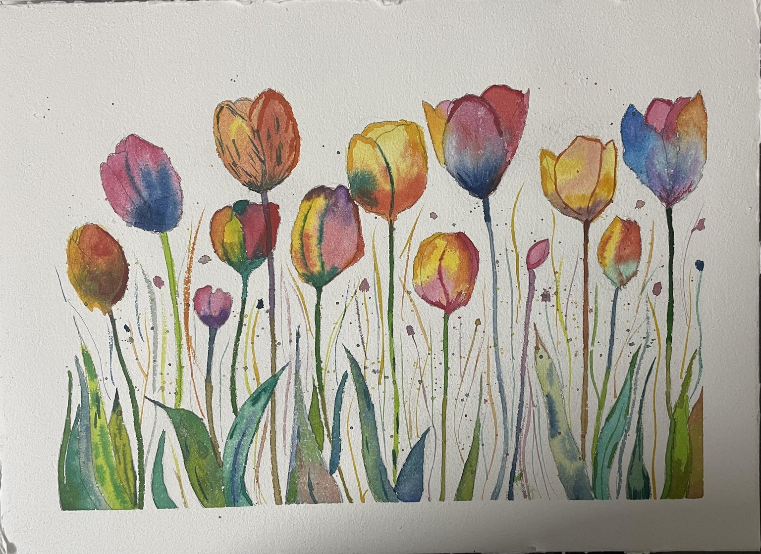 Colourful tulips - image 1 - student project