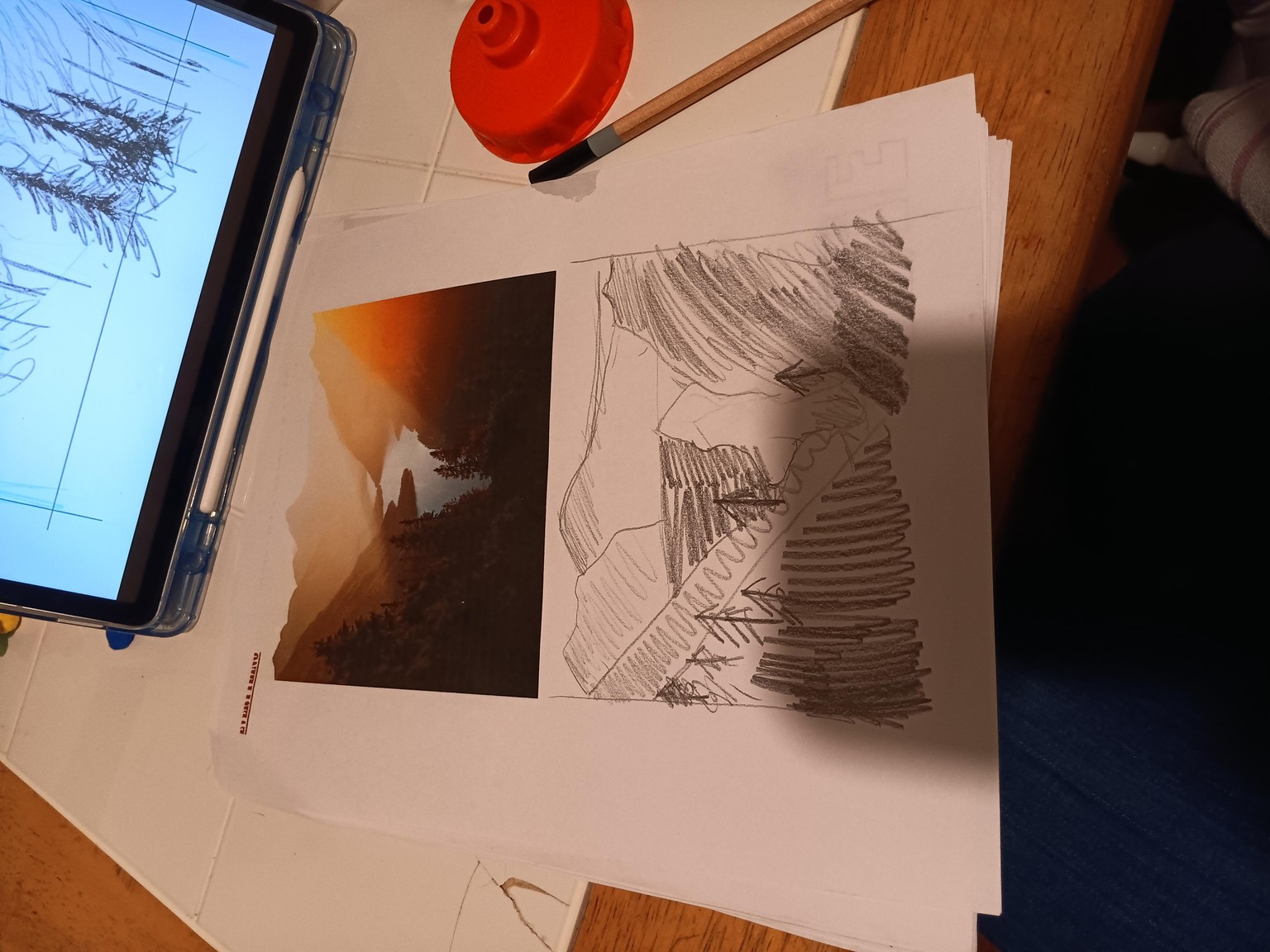 Landscape - image 1 - student project