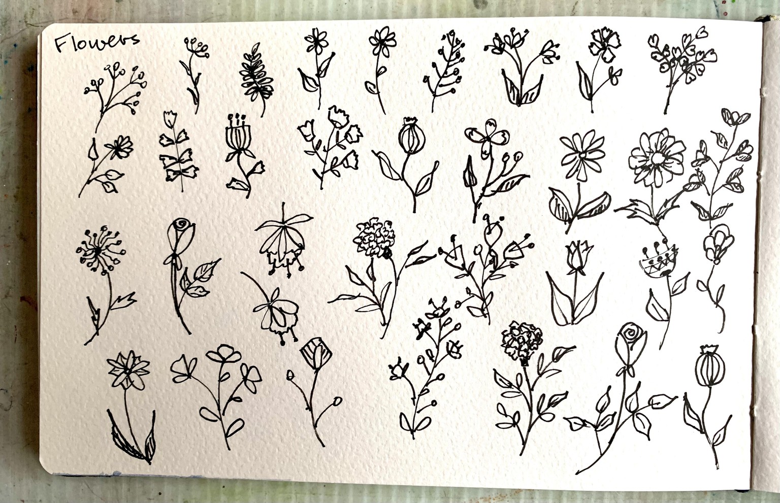 Botanical Doodles - image 4 - student project