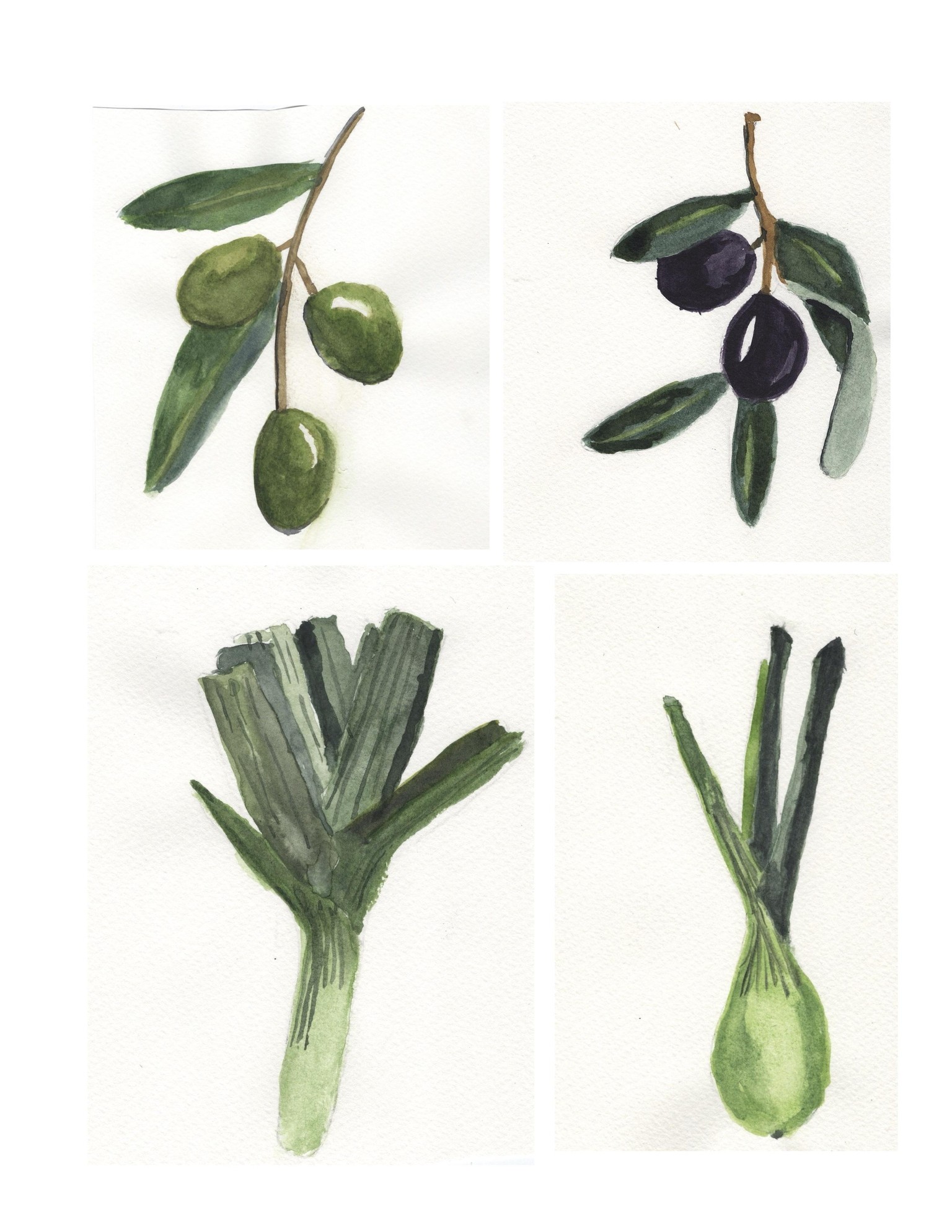 Botanical Watercolors - image 1 - student project