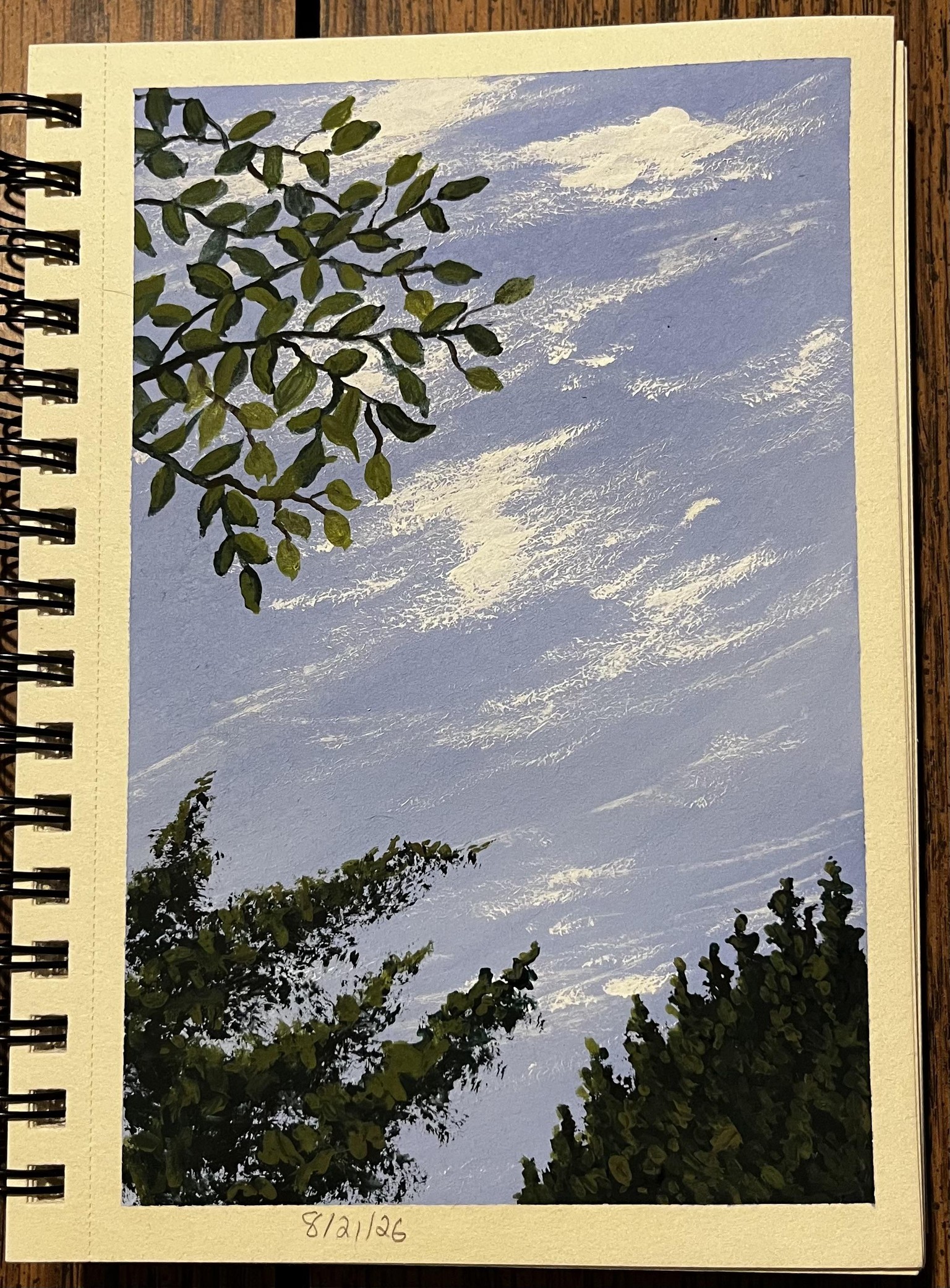 Gouache landscapes - image 4 - student project