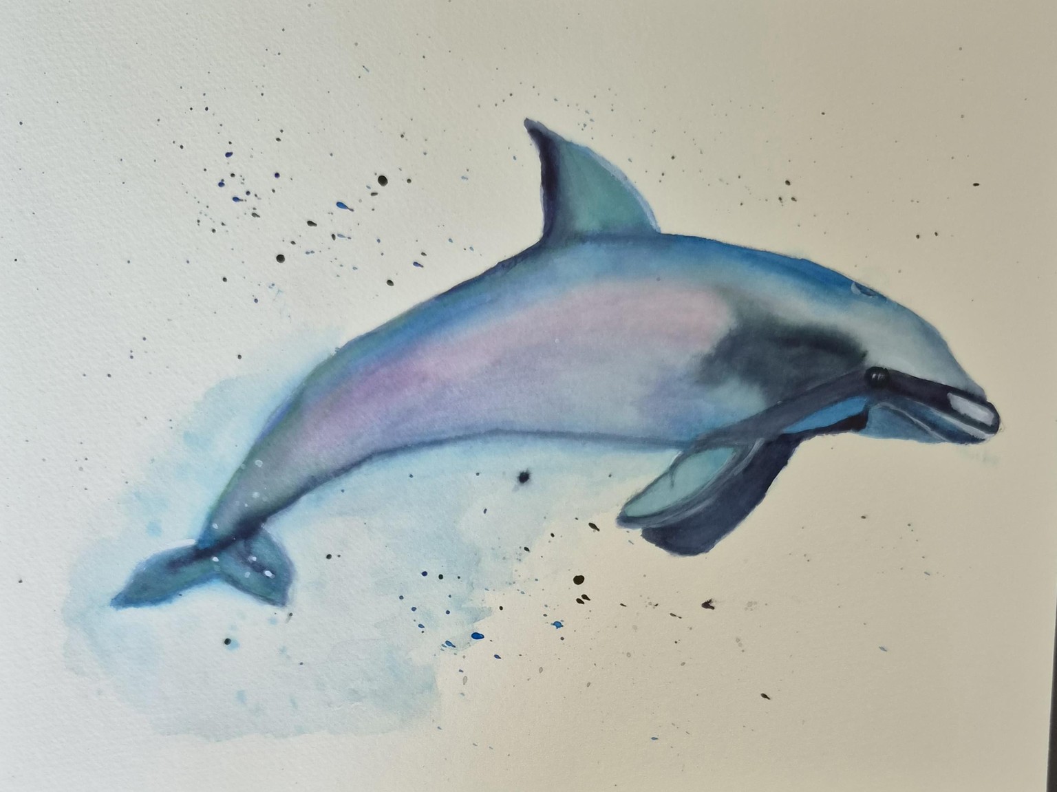 My Dolphin - image 1 - student project