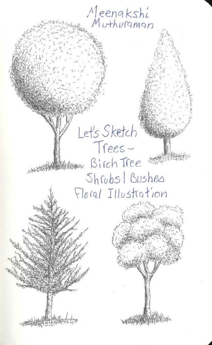 Sketchy Trees with a Ballpoint Pen - image 1 - student project