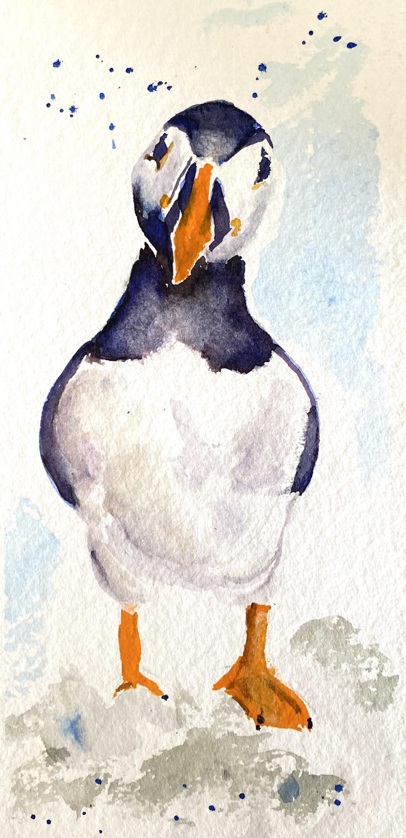 Puffin in watercolour - image 3 - student project
