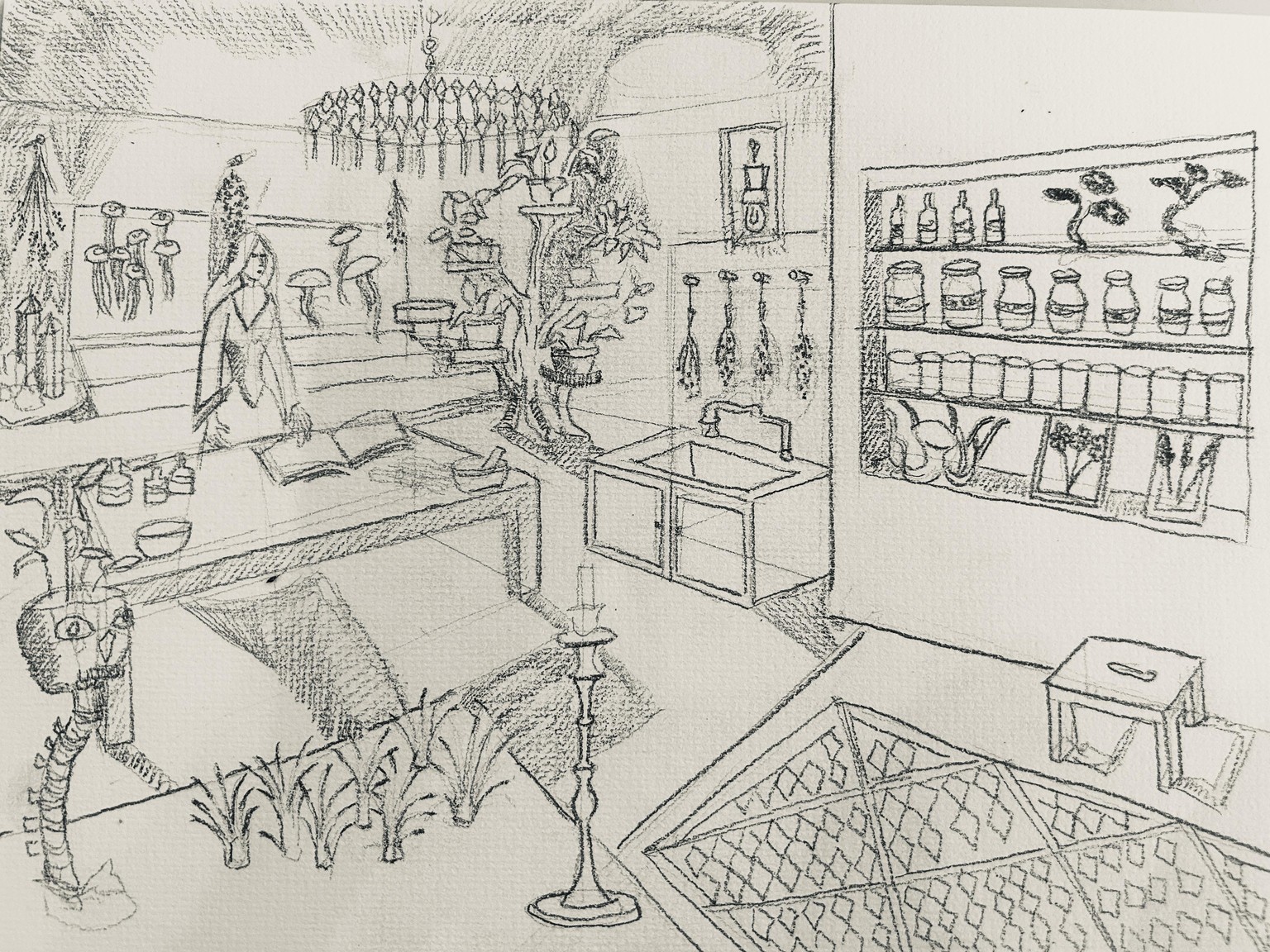 Herbalist room - image 1 - student project