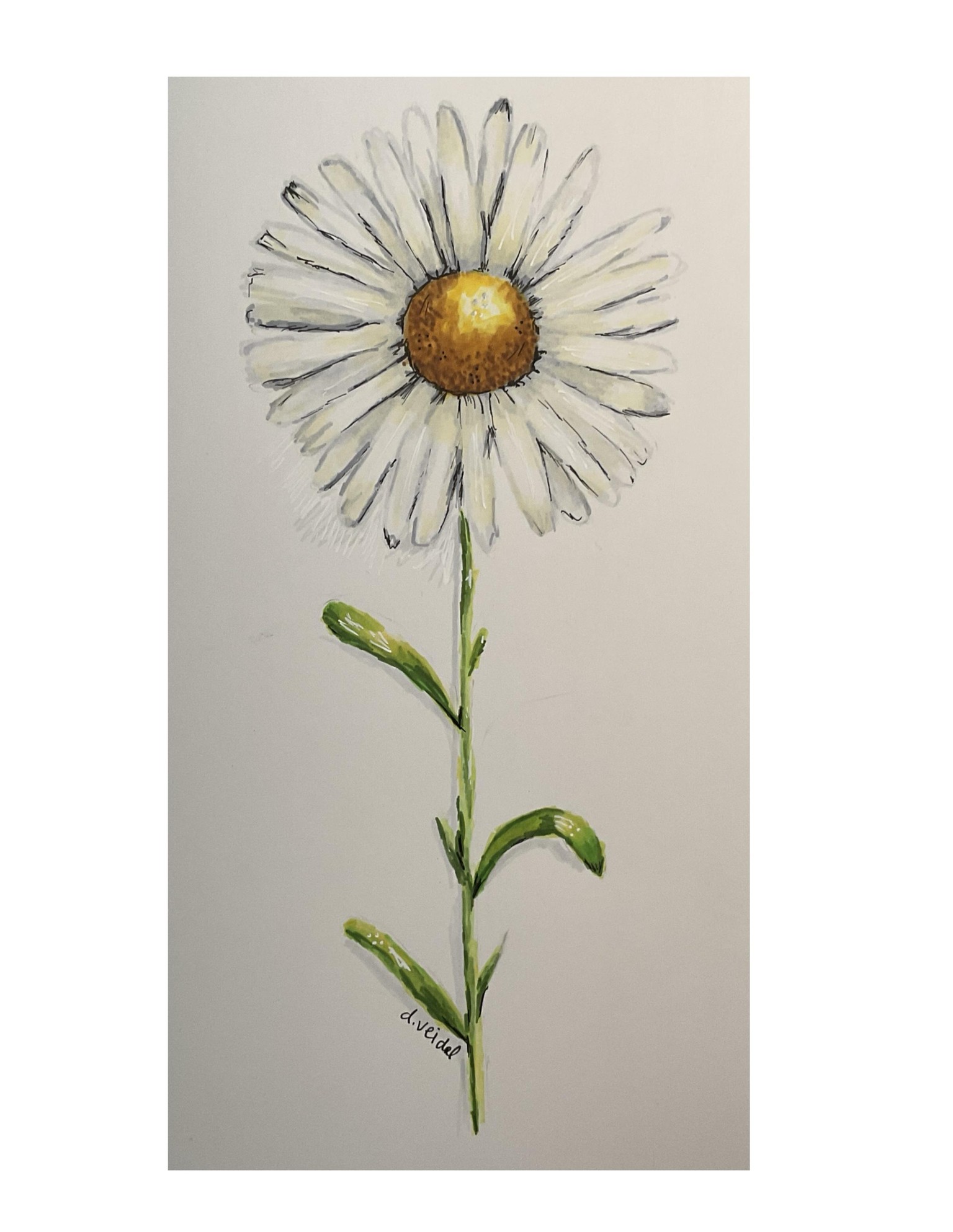 Daisy & Sunflower - image 1 - student project