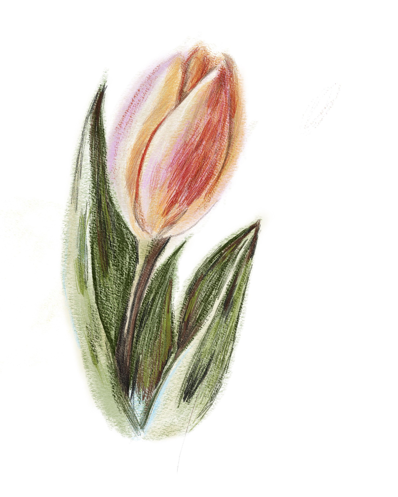 Watercolour pencils - image 1 - student project