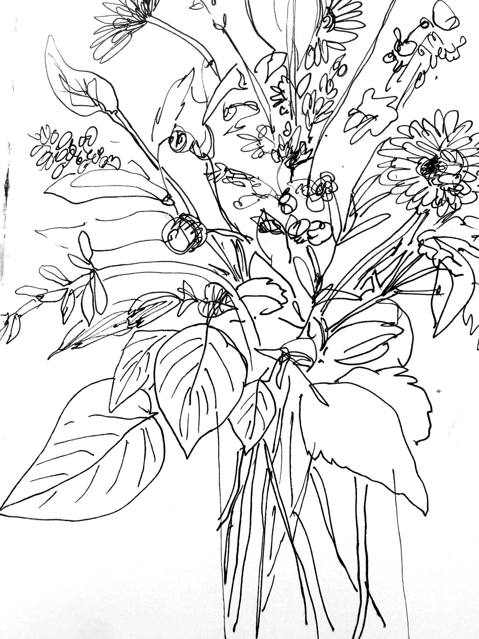 Flowers from my garden - image 5 - student project