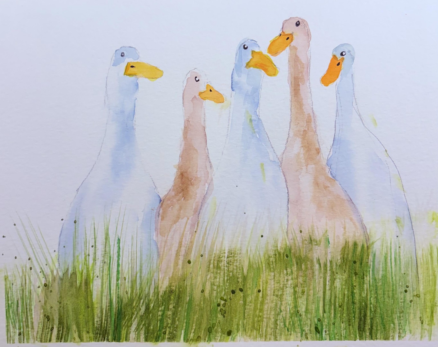 Duckies - image 1 - student project
