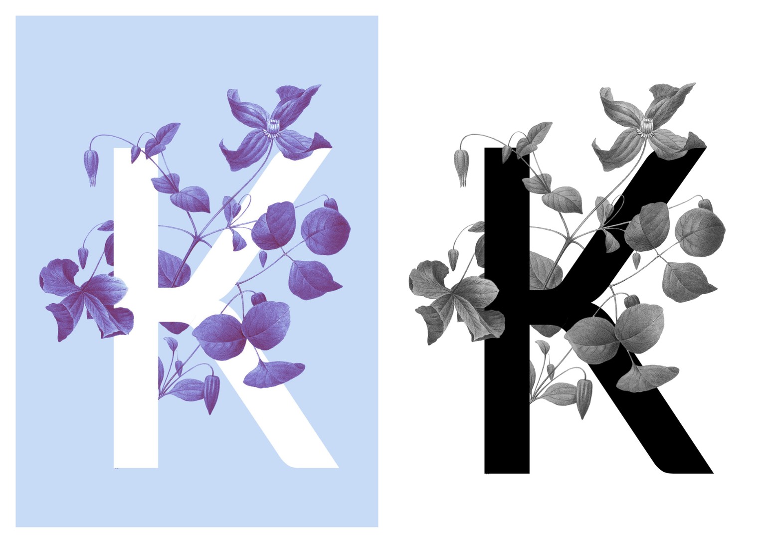Botanical Design Exploration - image 4 - student project