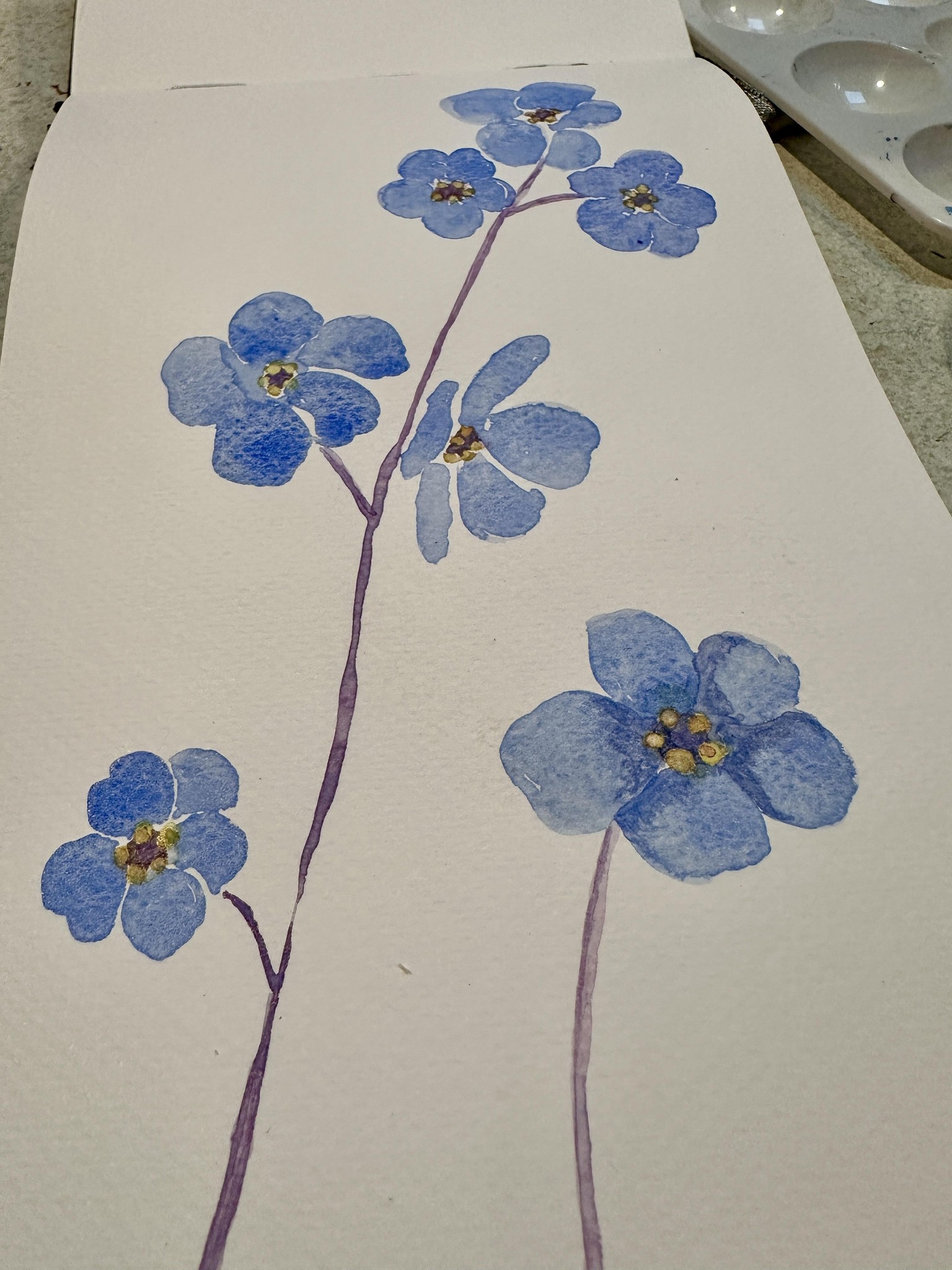 Scary Berries! - image 2 - student project