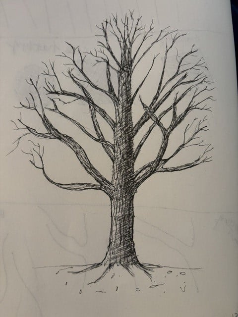 Tree Drawings - image 1 - student project