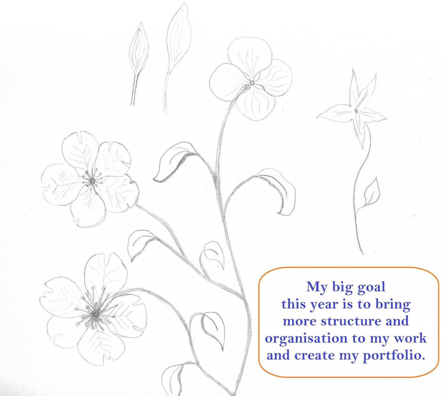 My big goal for 2026 - image 1 - student project