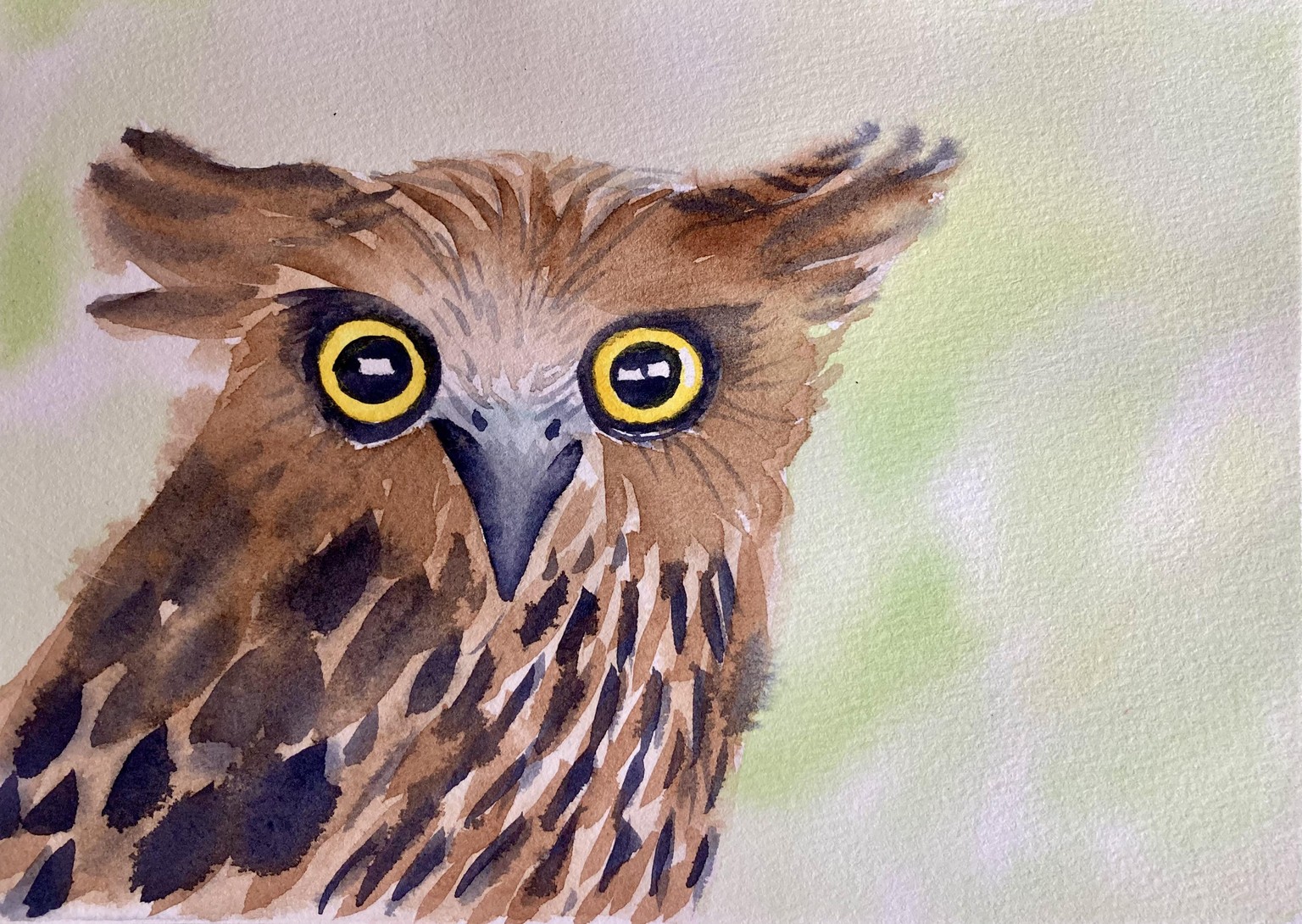 Watercolor Owl - image 1 - student project