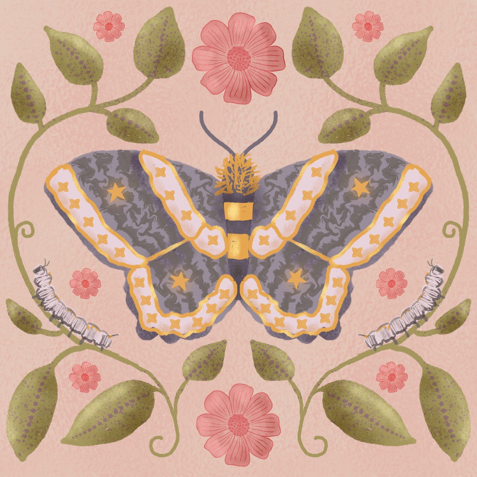 Symmetrical Moth Illustration - image 1 - student project