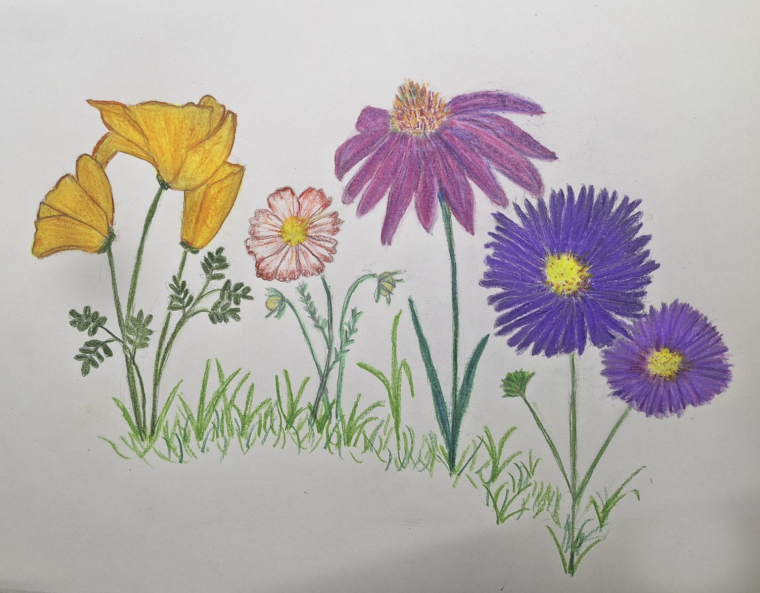 Flowers - image 1 - student project