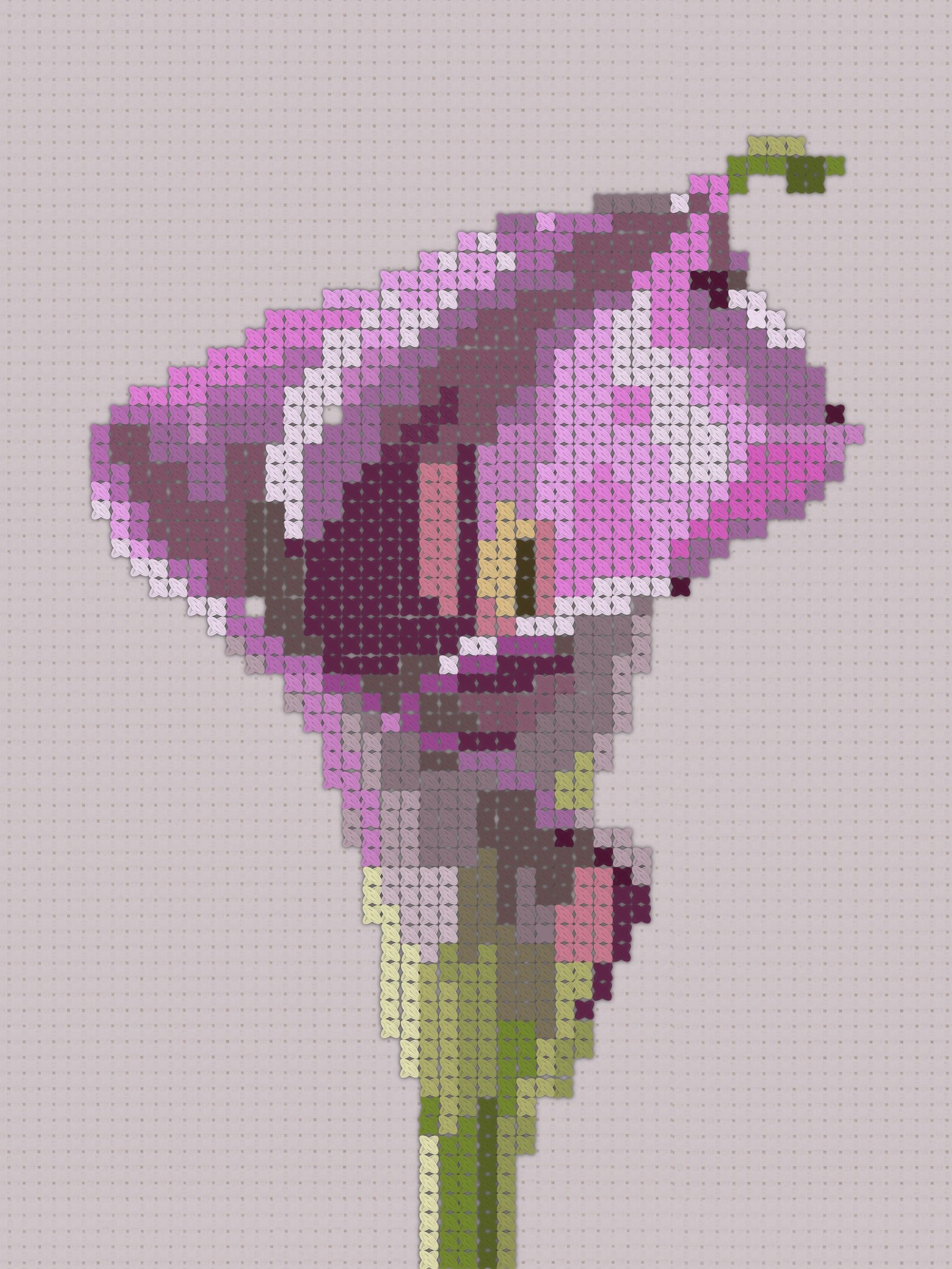 Cross stitch project - image 1 - student project