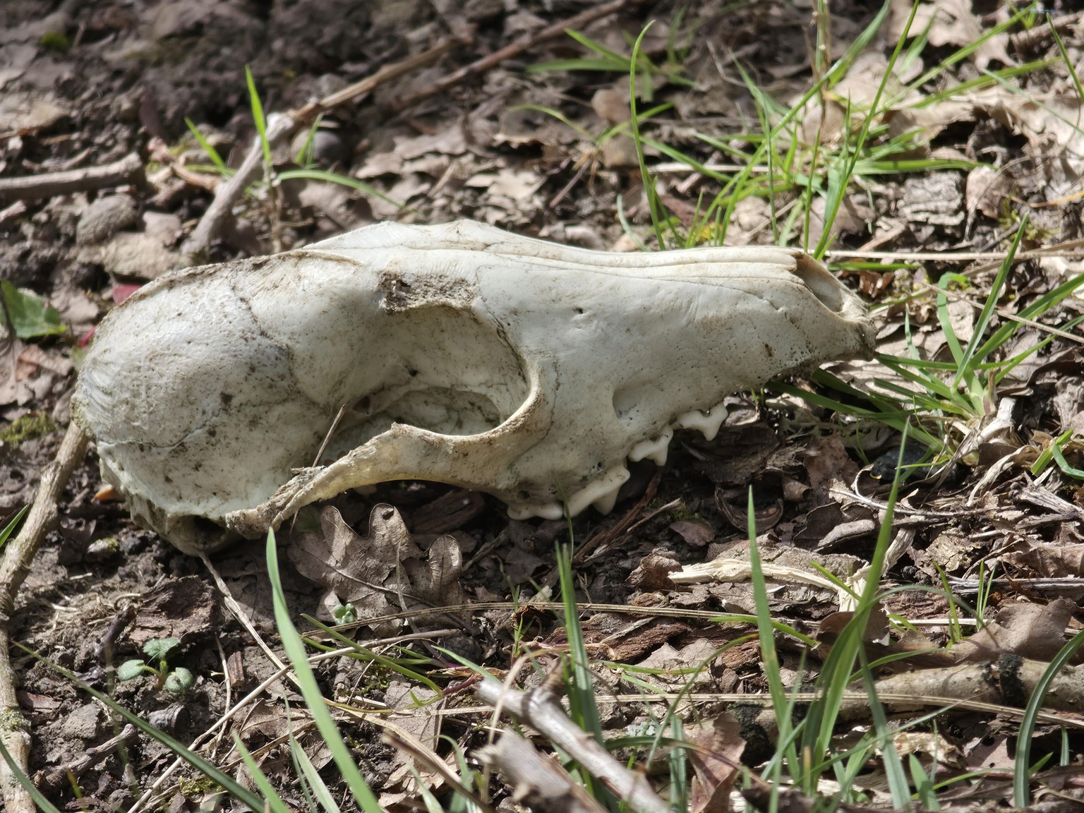 Close up  nature Photography - image 2 - student project