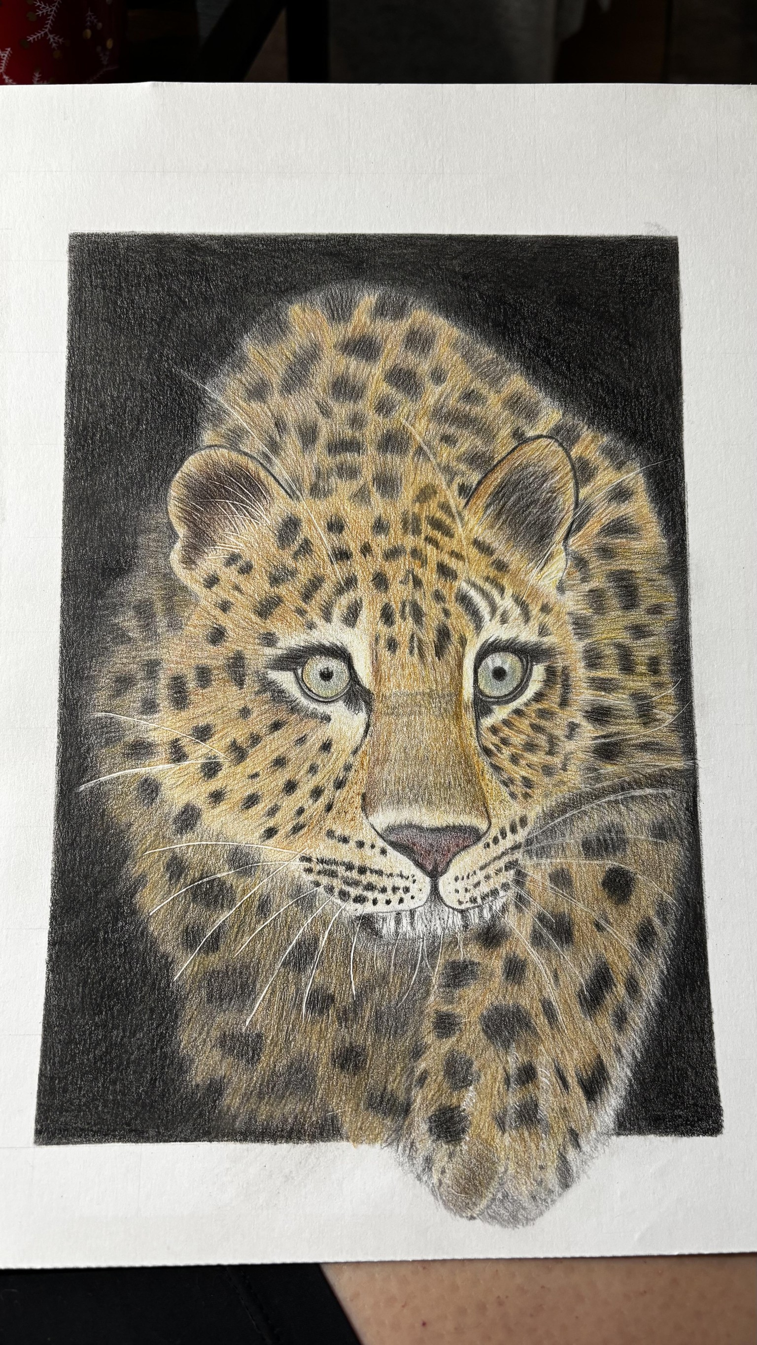 Leopard Project - image 1 - student project