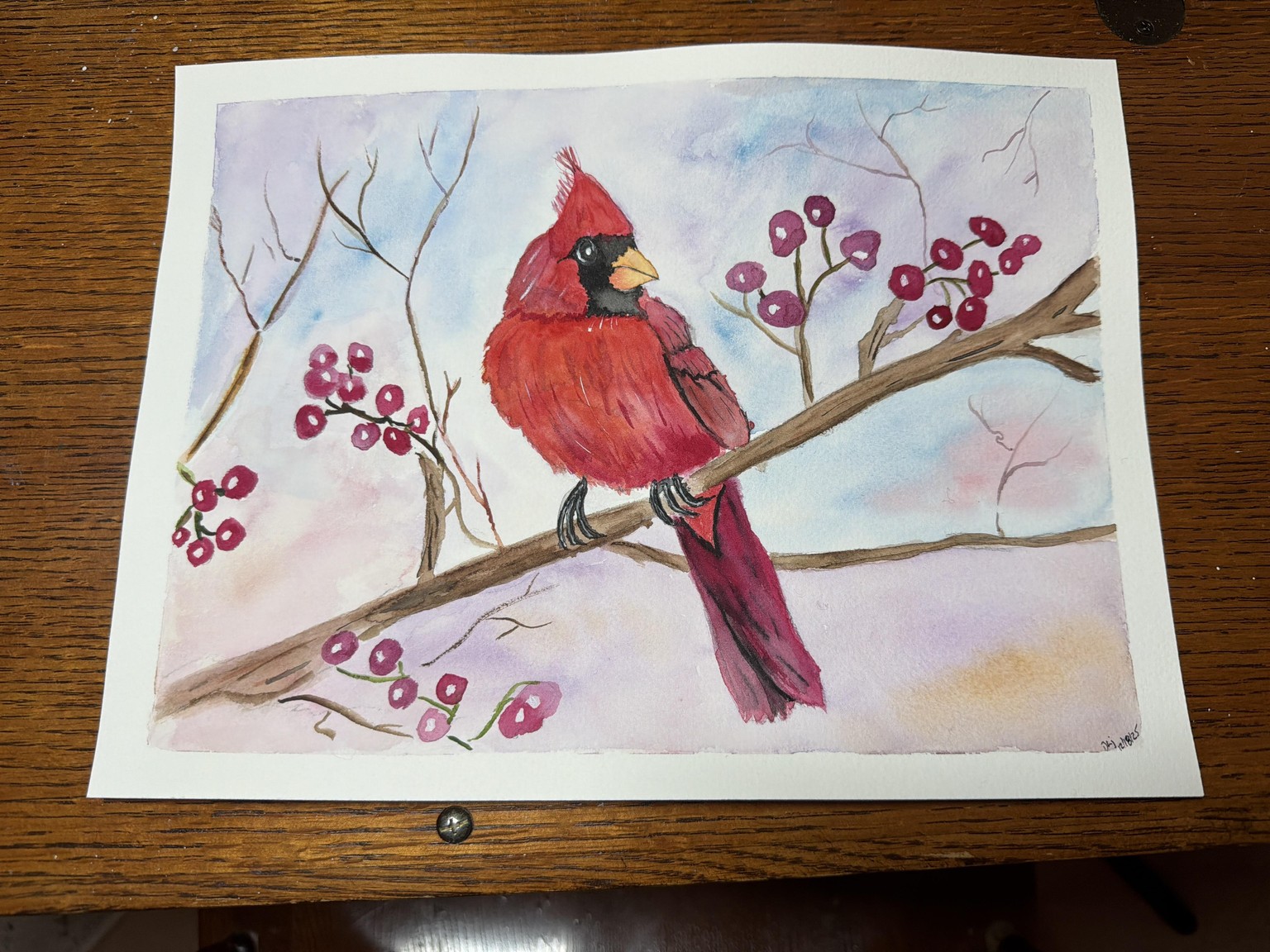 Expressive Cardinal - image 1 - student project