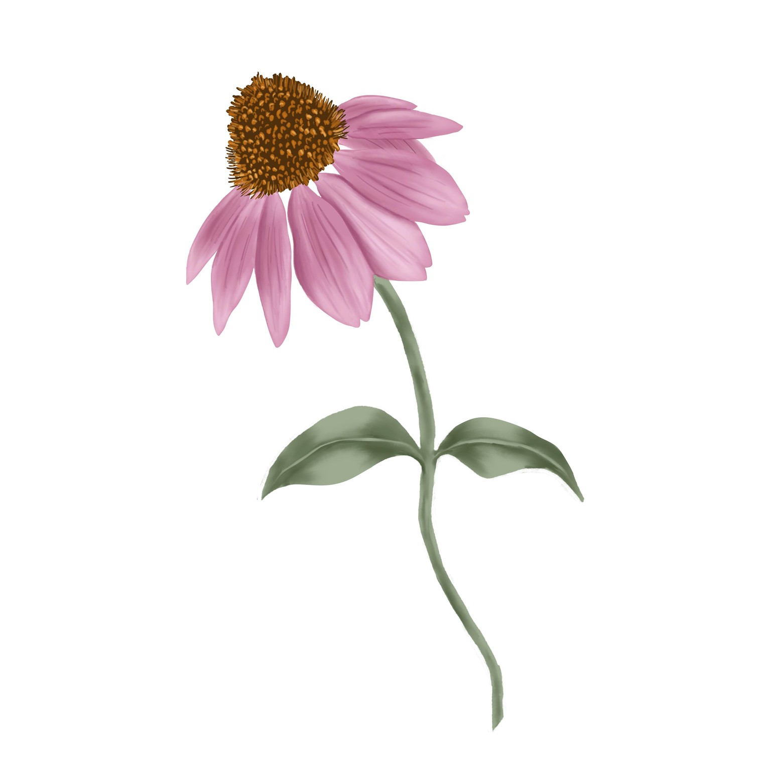 10 Day Challenge… so far - image 4 - student project