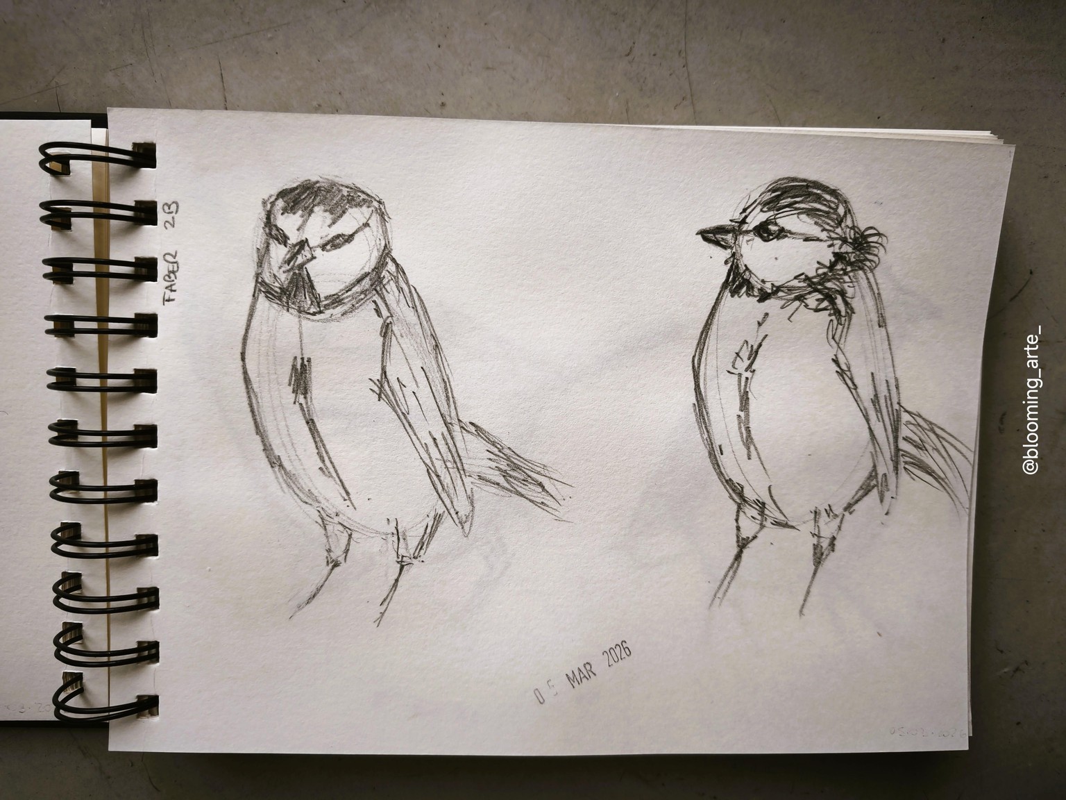 Pencil Sketching: quick and loose animals - image 3 - student project