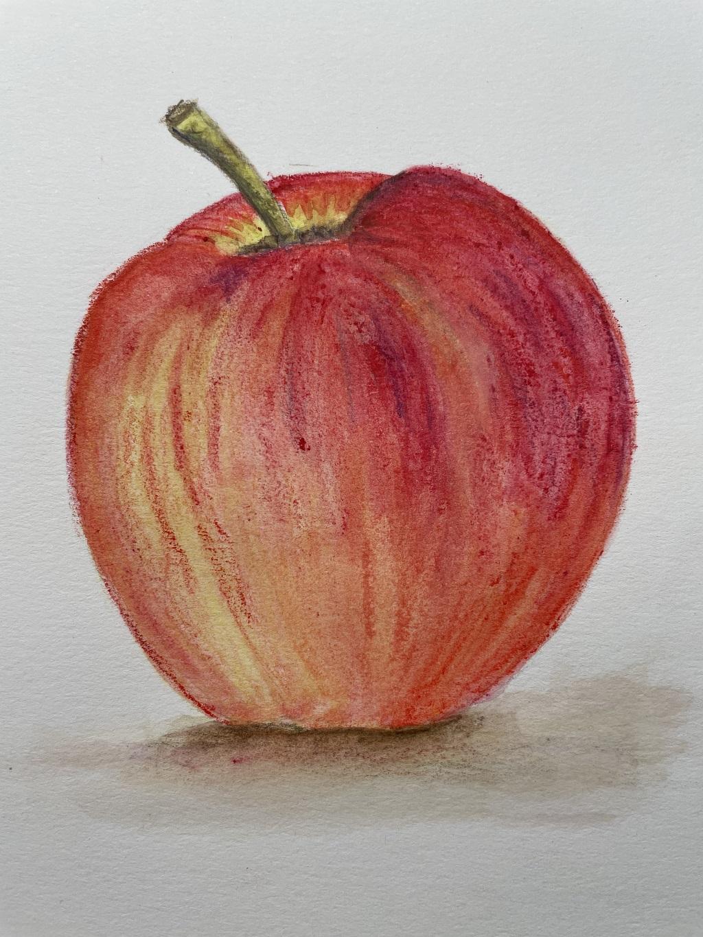 Apfeli / Watercolor pencils - image 5 - student project