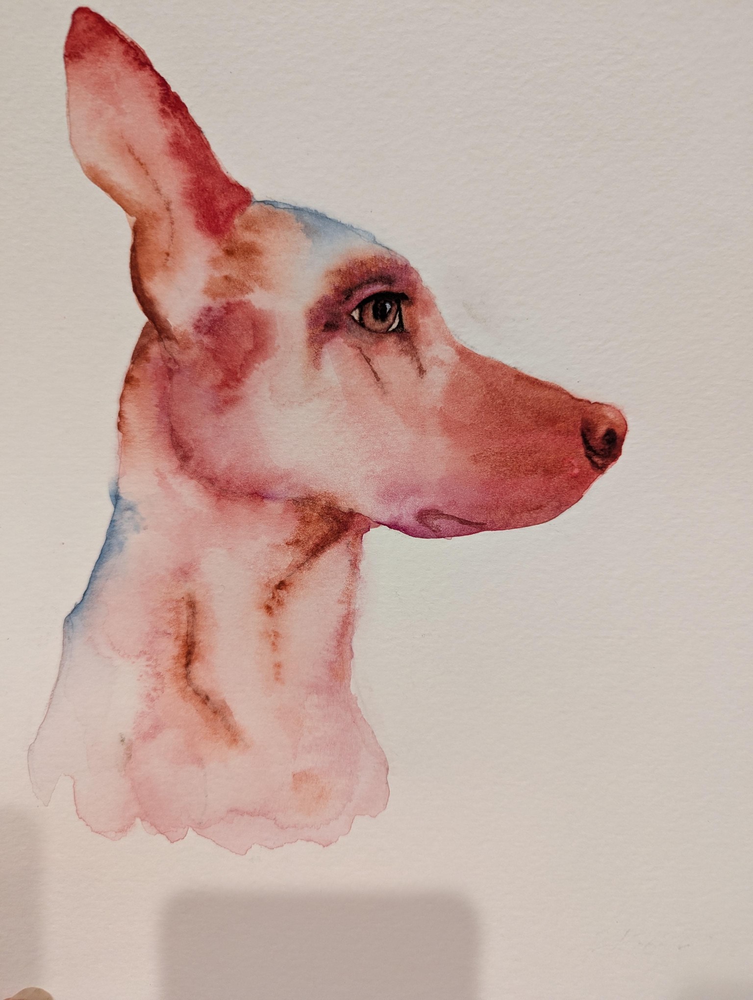 Pups - image 5 - student project