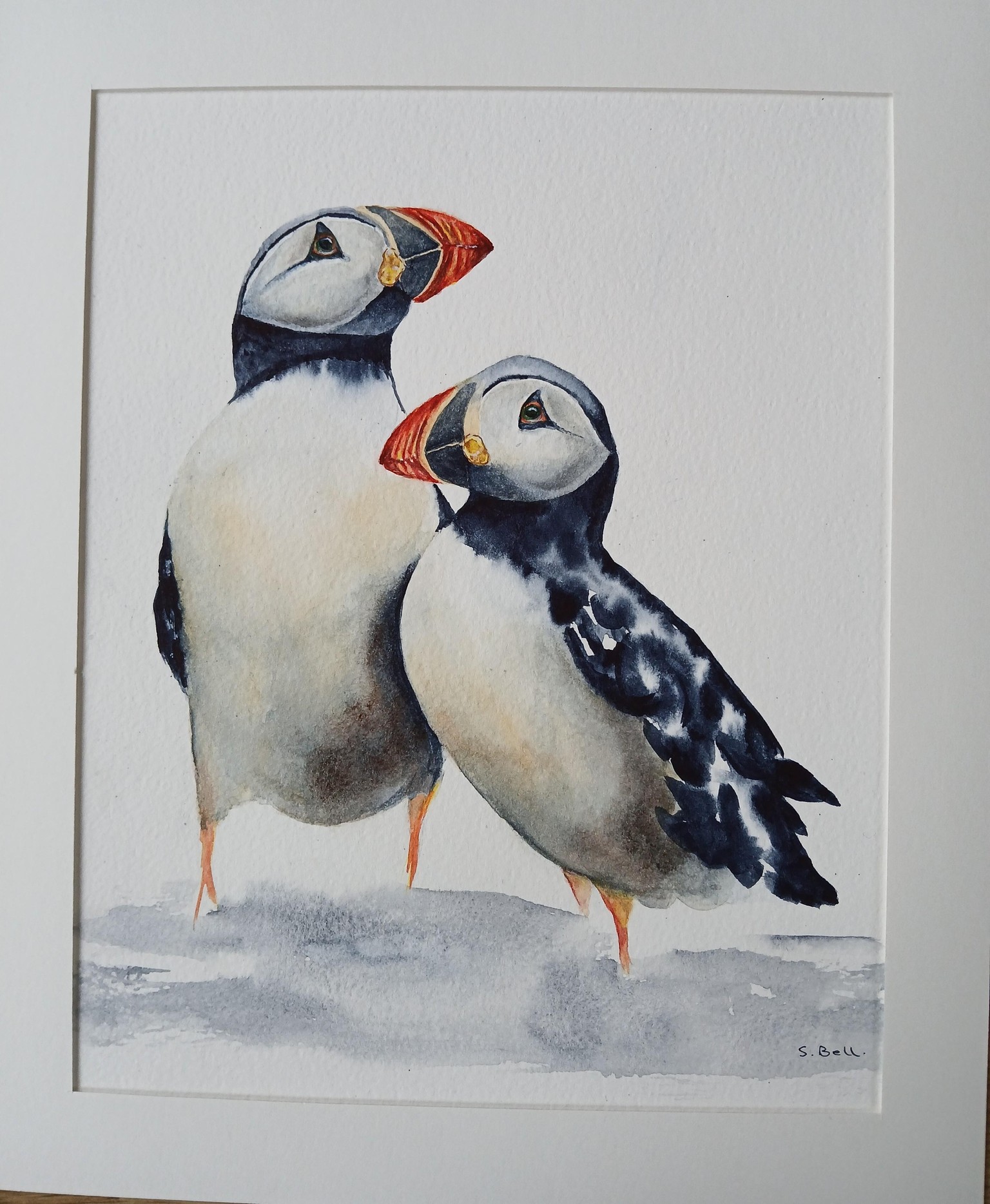 Puffins - image 1 - student project