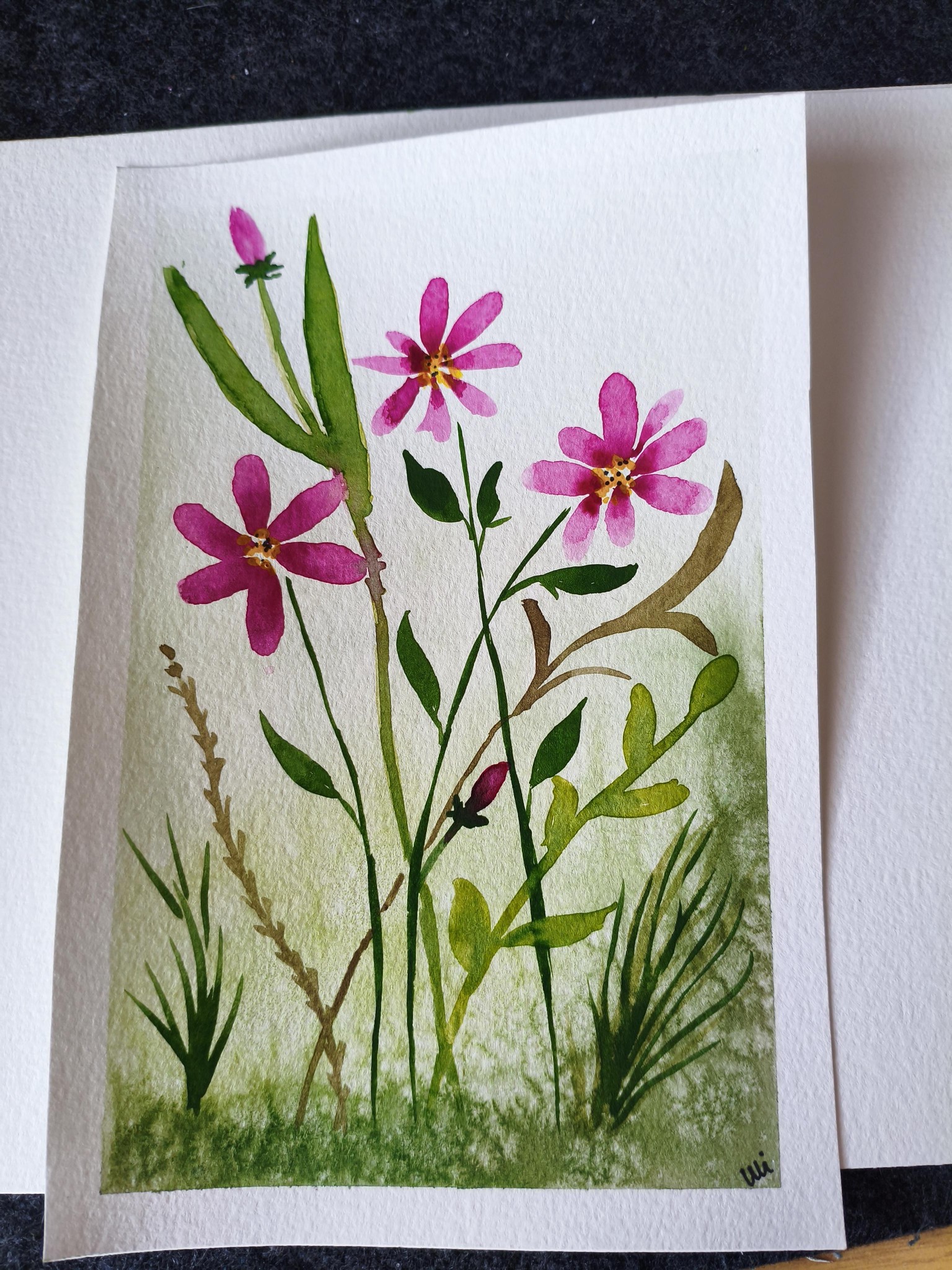 Pink Flowers - image 1 - student project