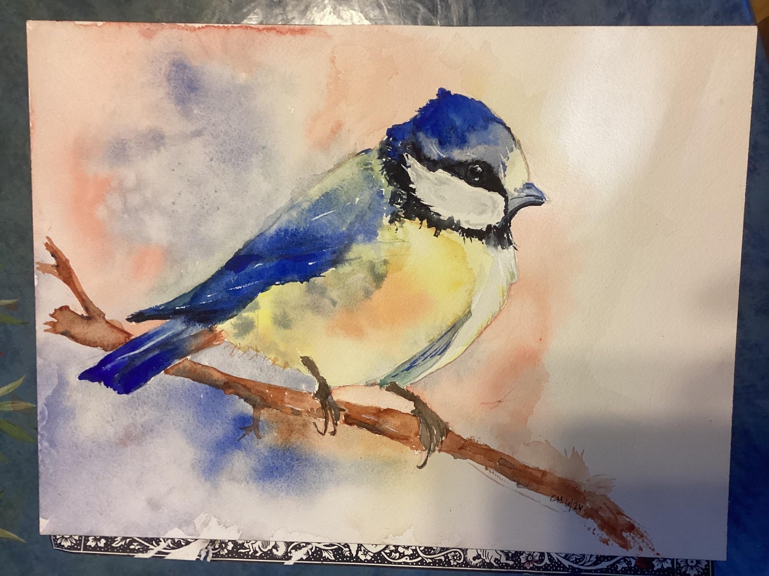 Blue tit, a Will Elliston tutorial - image 1 - student project