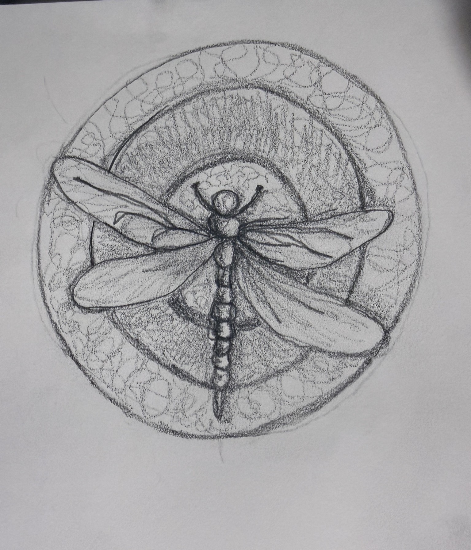 Continuous line Dragonfly. - image 1 - student project