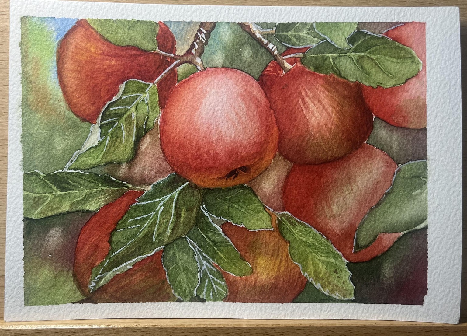 Apples - image 1 - student project