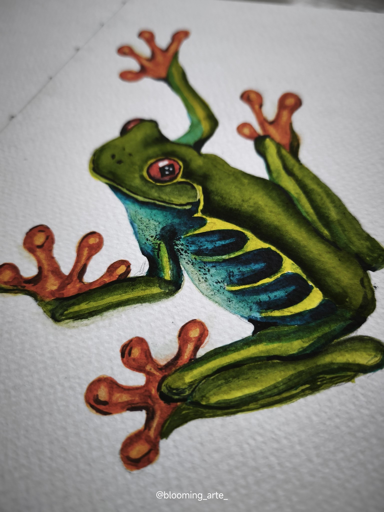 Watercolor Tree Frog - image 3 - student project