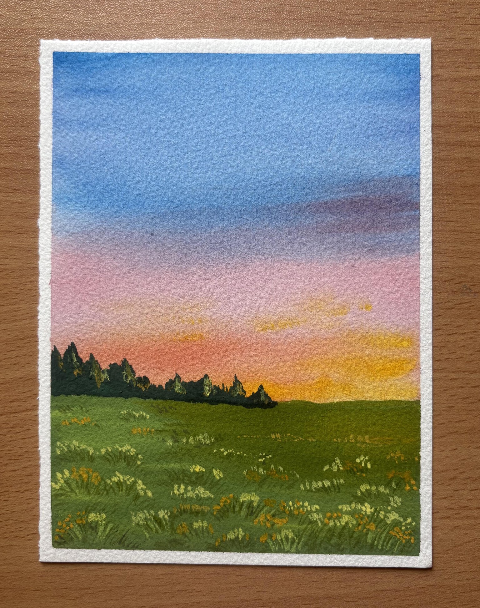 Spring Sunsets - image 2 - student project